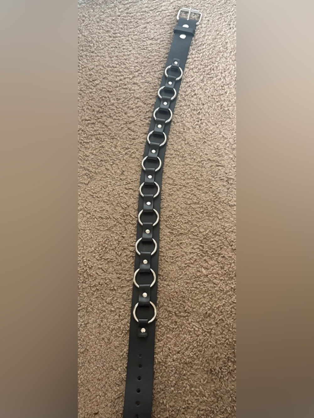 Funk Plus O Ring Belt